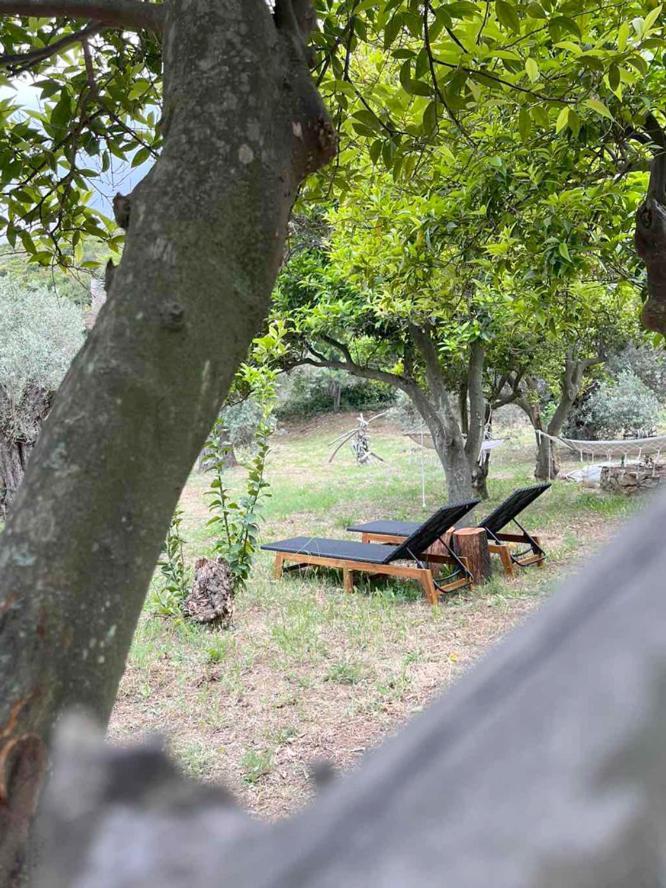 Agios Petros  Lithea Villas And Studios By The Sea מראה חיצוני תמונה