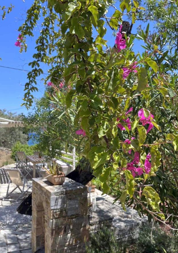 Agios Petros  Lithea Villas And Studios By The Sea מראה חיצוני תמונה